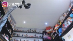 crazypilar  14-11-2020